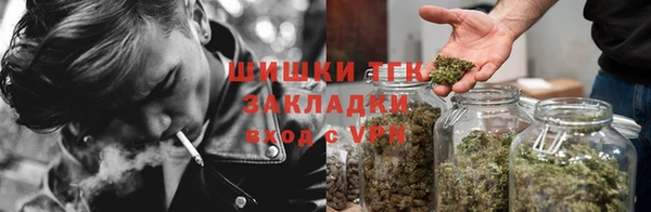 шишки Алексеевка