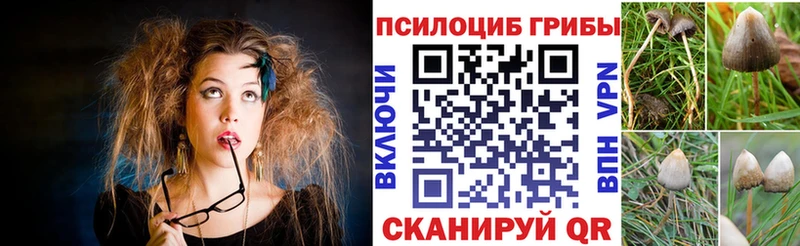 Галлюциногенные грибы Magic Shrooms Оса